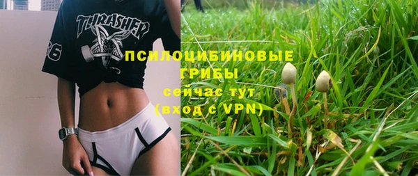 гашик Сафоново